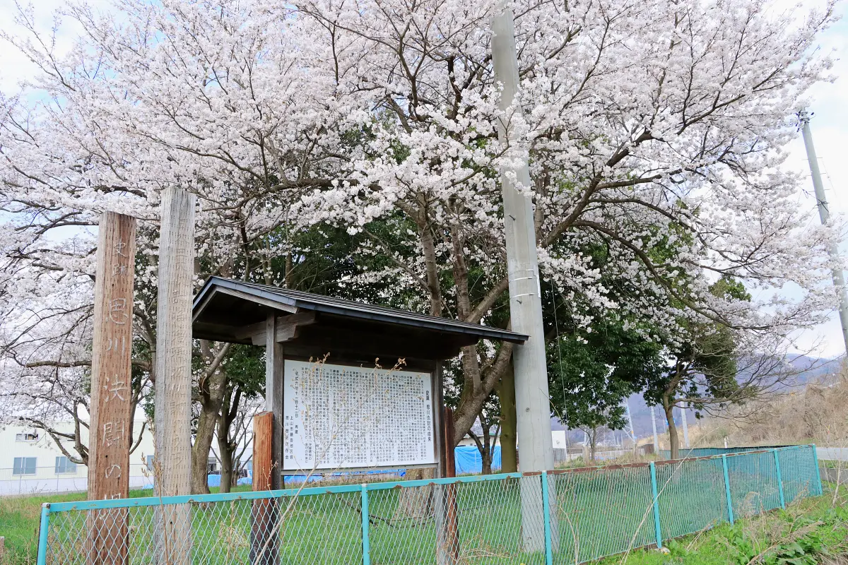 2024年4月12日 思川決闘の場