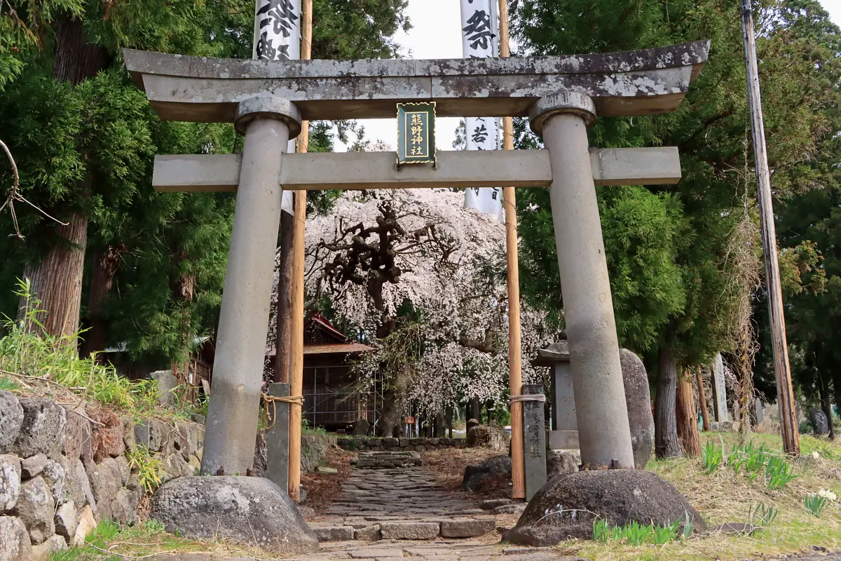 2024年4月14日 熊野神社