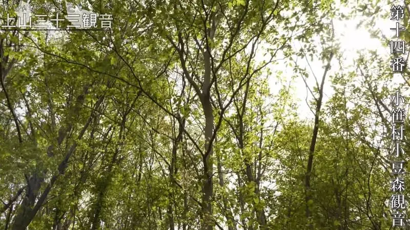 小笹村小豆森観音