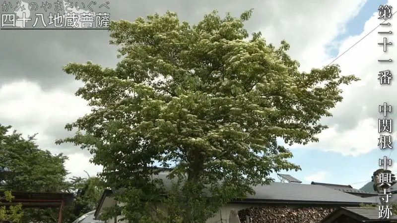 第二十一番 中関根 中興寺跡