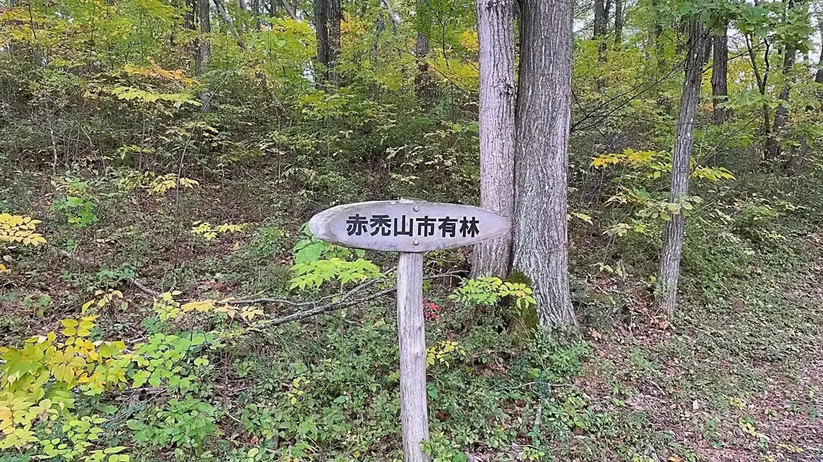 赤禿山公園