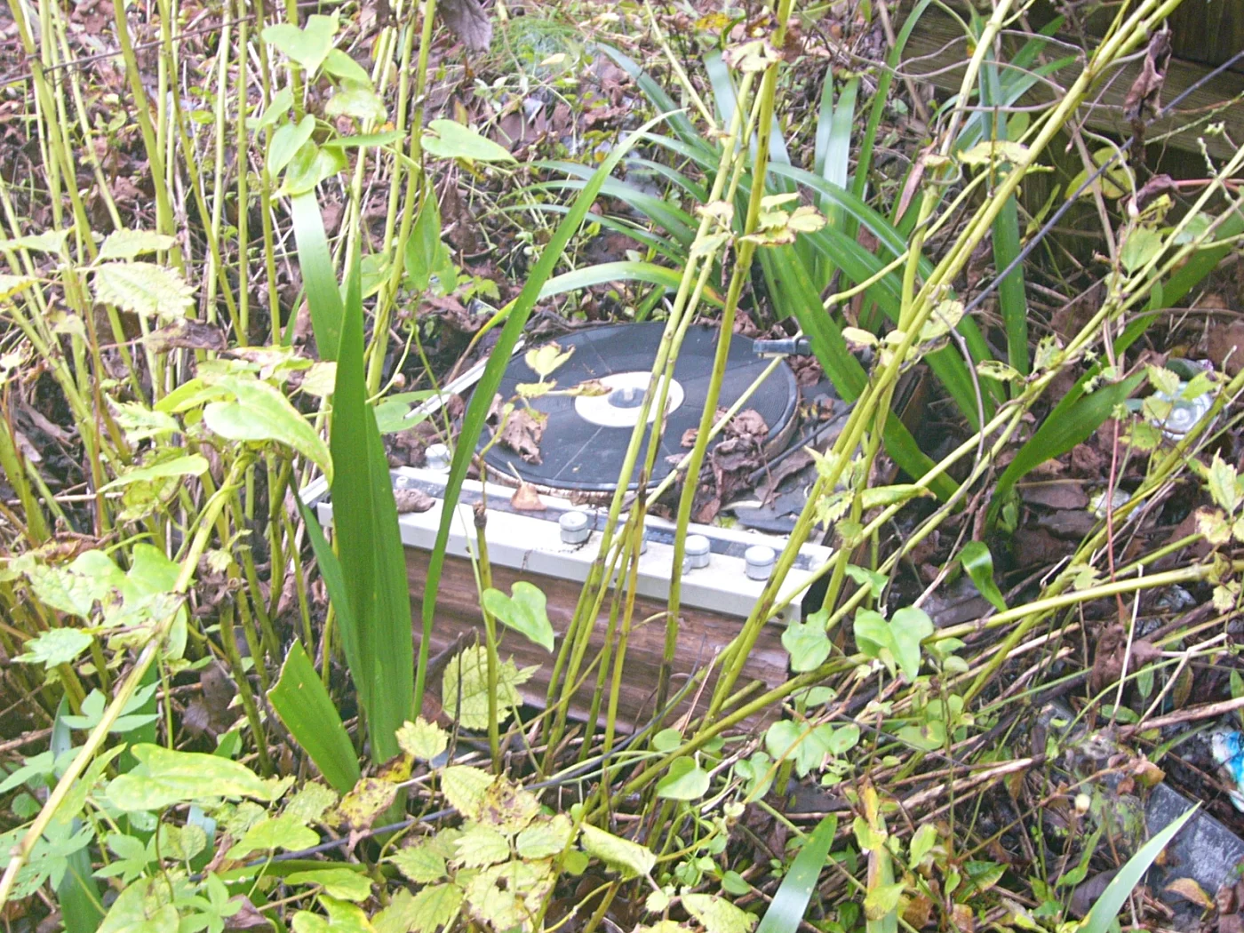 放置されたレコードプレーヤー？ = 2021年10月17日 泥部