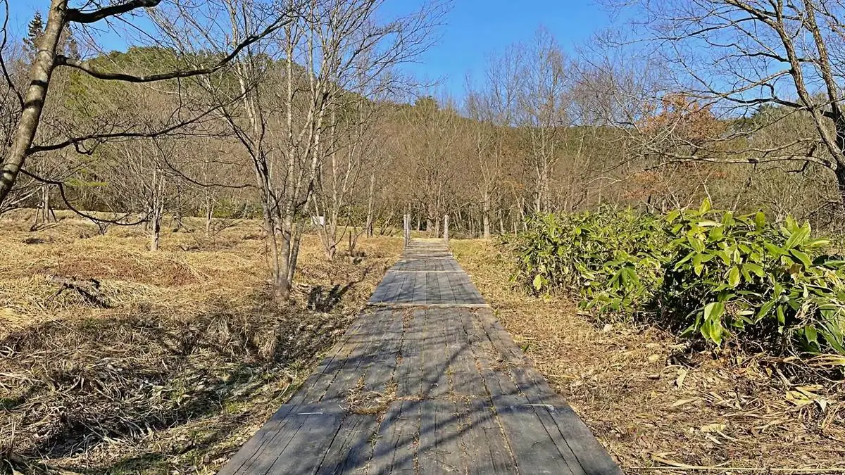 西山ふるさと公園