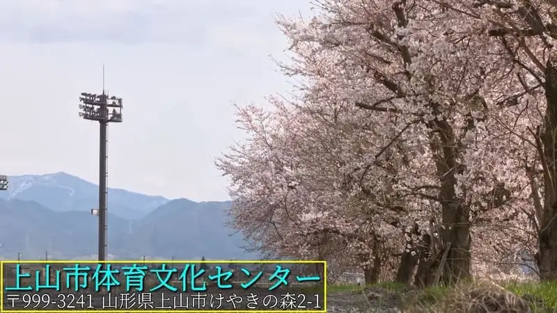 上山市体育文化センター