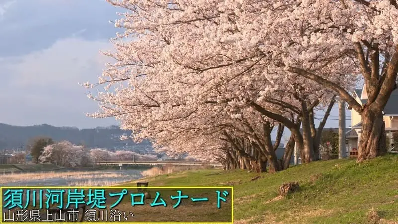 須川河岸堤プロムナード