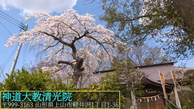 神道大教清光院