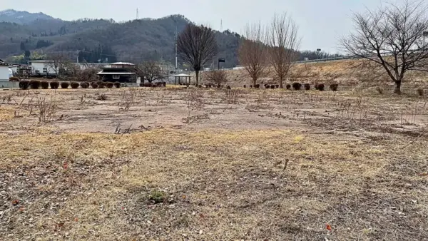 不思議なコンクリート製のオブジェ？「蔵王の森第1公園」